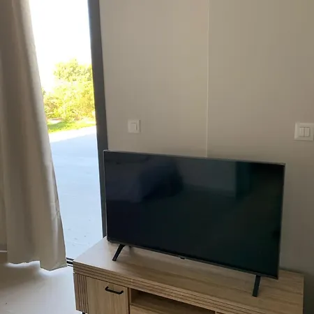 فيلة Profil سبارتيا