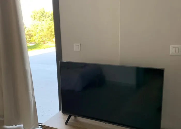 فيلة Profil سبارتيا